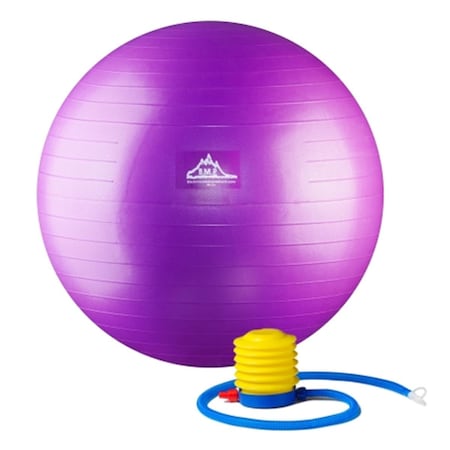 Black Mountain Products 2000 lbs Professional Grade Stability Ball with Pump Purple 55 cm PSPURP 55CM